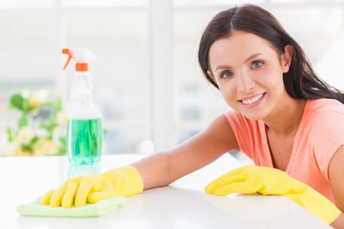 Professional sofa cleaning service for a living room in SE8