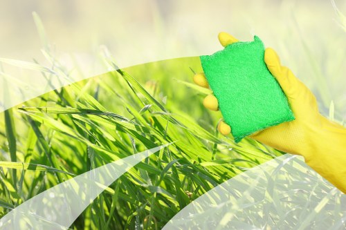 Cleaning supplies and ethical compliance concept for Carpetcleaning SE8