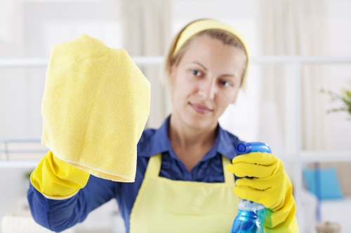 Local cleaners providing domestic cleaning services in SE8 homes