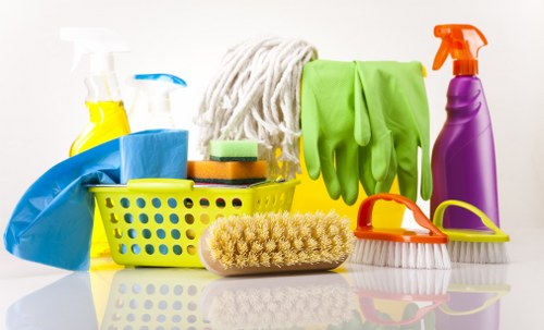 Local cleaner providing home cleaning services in SE8