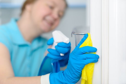 Carpet cleaning equipment in a SE8 residential property