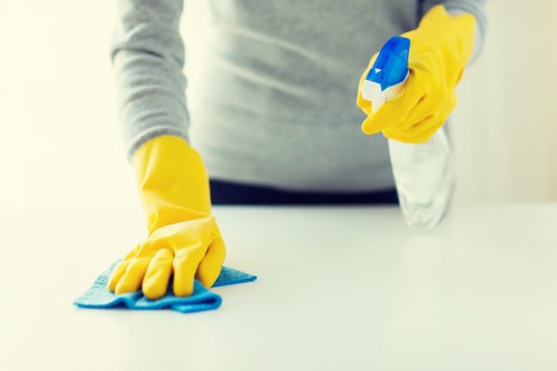 Professional upholstery cleaning for sofas in SE8 homes