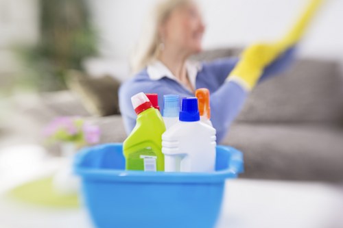 Cleaner maintaining desks and shared office areas in SE8