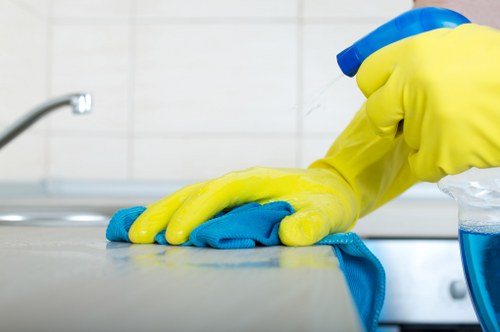 Oven cleaning service for a compact SE8 flat kitchen