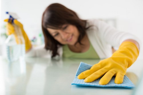 Professional domestic cleaner working in a SE8 property