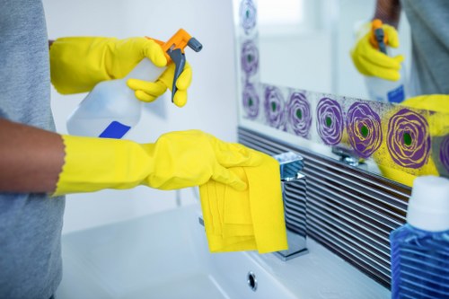 Cleaner removing grease and residue from an oven in SE8