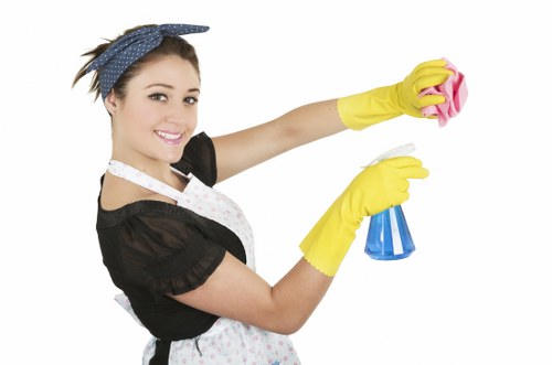 Window cleaning team handling access challenges in a SE8 street