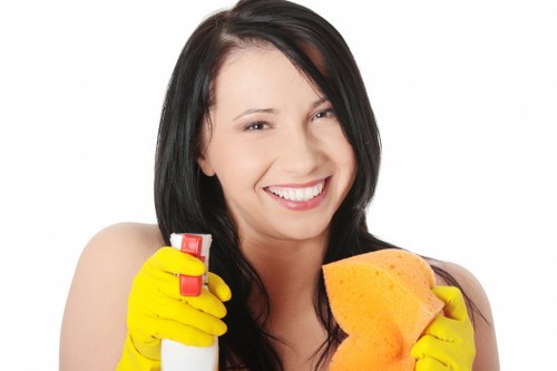 Professional cleaner removing grease from an oven in SE8