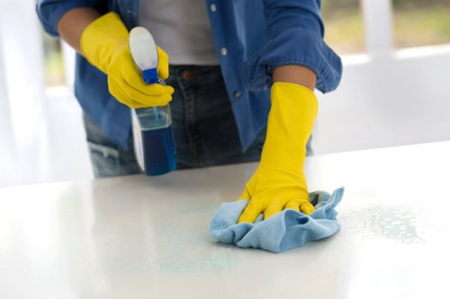 Carpet cleaning team assessing a service issue report